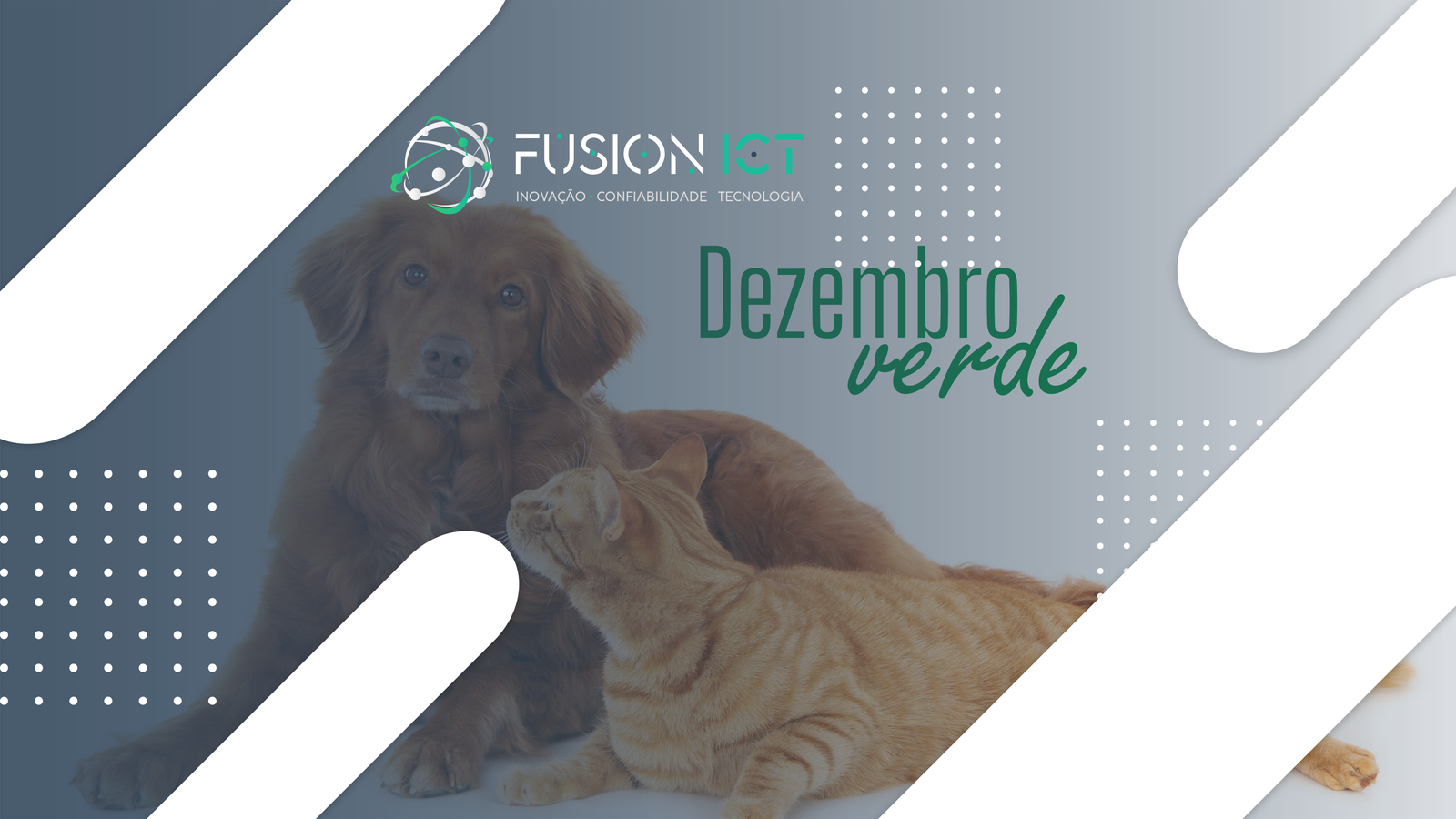 Dezembro Verde: cuidados que salvam vidas